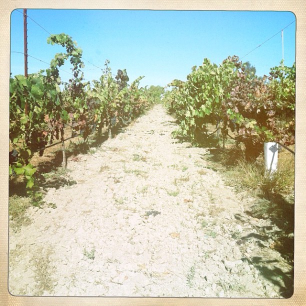 1186981_10100299723433930_190978912_n