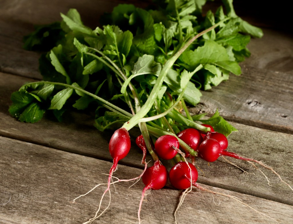 Bunch of fresh red radishes with green leaves on a rustic wooden table.